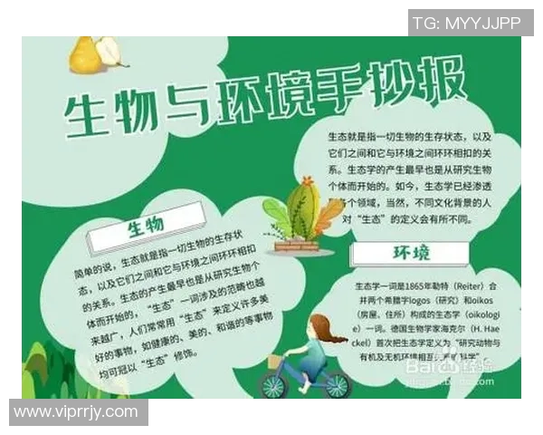 探索足球文化的魅力与传承手抄报资料分享与创作指南